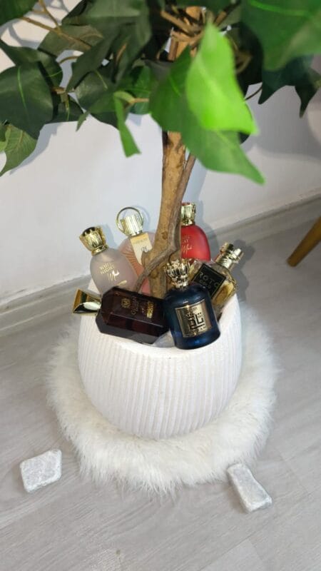 Image #1 from الصديق